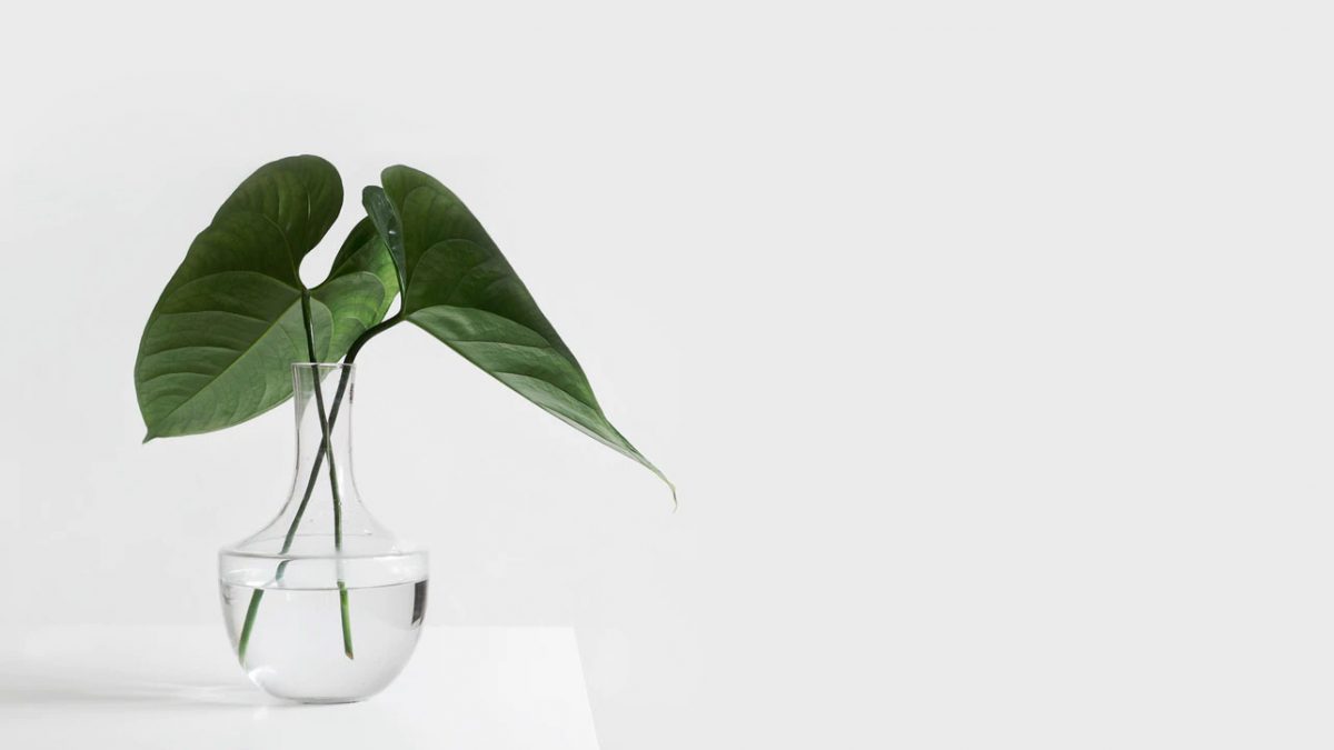 POURQUOI DEVENIR MINIMALISTE ? ET COMMENT EN FAIRE SON MODE DE VIE.