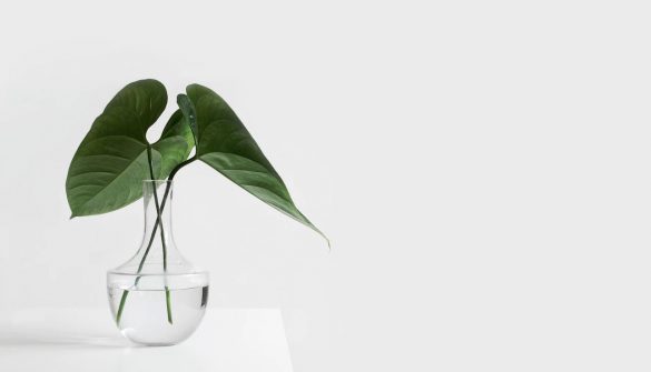 Minimalism